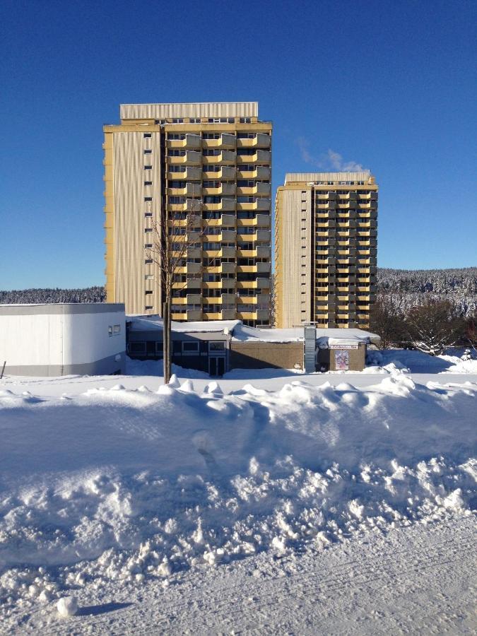 Ferienwohnung "Rodelnde Geiss" Mit Schwimmbad Браунлаге Екстер'єр фото
